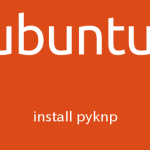 Ubuntu 日本語構文・格・照応解析システムKNPをpythonから使えるようにする